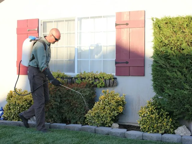 a pest control technician spraying around a home
